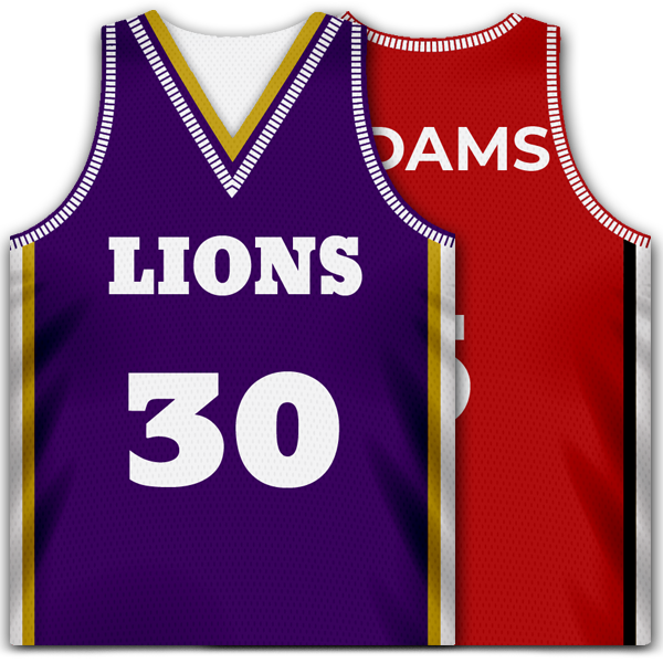Customised personal pictures of basketball magnet for coach gifts Custom personalised basketball magnet banquet awards ideas for coach gifts