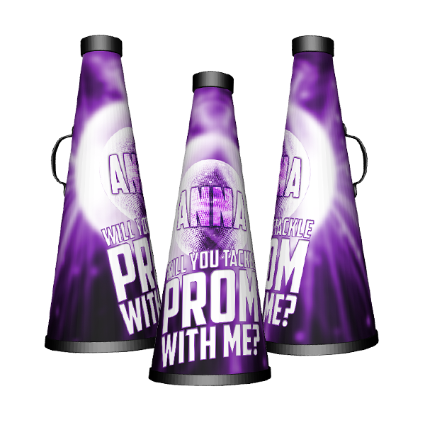Customised picture cheerleading gift ideas cheap for season promposal Best picture perfect gifts for cheer coach season promposal